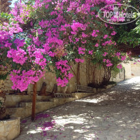 фото из отзыва ID 1845833