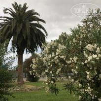 фото из отзыва ID 1847565