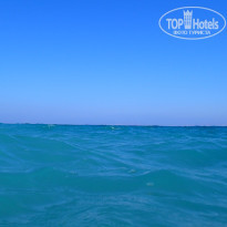 фото из отзыва ID 1847951