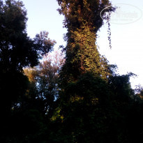 фото из отзыва ID 1847998