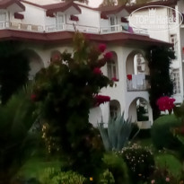 фото из отзыва ID 1847998