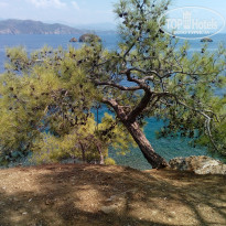 фото из отзыва ID 1847998