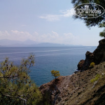 фото из отзыва ID 1847998