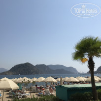 фото из отзыва ID 1848036