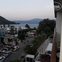 фото из отзыва ID 1848056