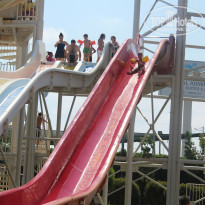 фото из отзыва ID 1848022