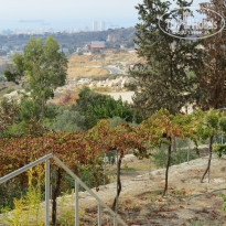 фото из отзыва ID 1848085