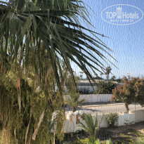 фото из отзыва ID 1848095