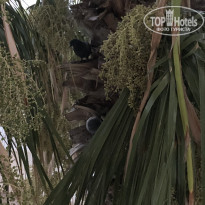 фото из отзыва ID 1848095