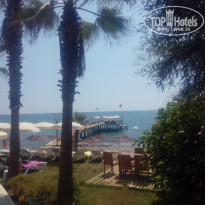 фото из отзыва ID 1848096