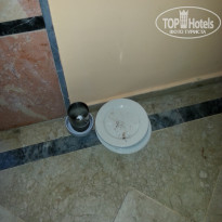 фото из отзыва ID 1848164