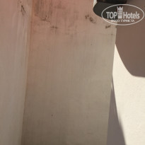 фото из отзыва ID 1848199