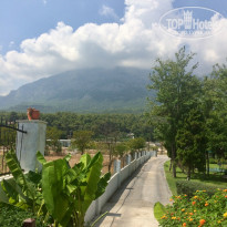 фото из отзыва ID 1848203