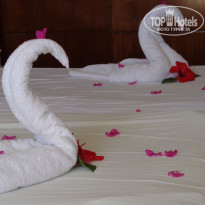 фото из отзыва ID 1848257