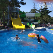 фото из отзыва ID 1848406