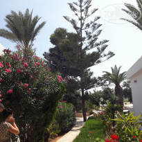 фото из отзыва ID 1846247