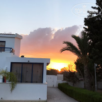 фото из отзыва ID 1848355