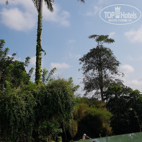 фото из отзыва ID 1848505