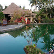 фото из отзыва ID 1848505