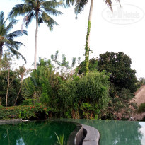 фото из отзыва ID 1848505