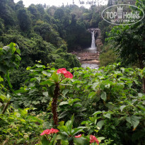 фото из отзыва ID 1848505