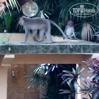 фото из отзыва ID 1848505