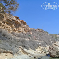 фото из отзыва ID 1848380