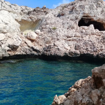 фото из отзыва ID 1848380