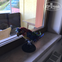 фото из отзыва ID 1848586