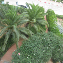 фото из отзыва ID 1848696