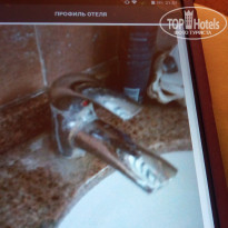 фото из отзыва ID 1847516