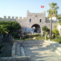 фото из отзыва ID 1848741