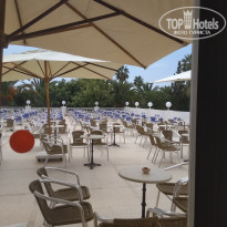 фото из отзыва ID 1848839