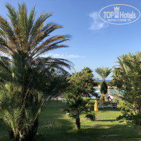 фото из отзыва ID 1848886