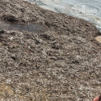 фото из отзыва ID 1848834