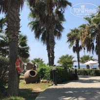 фото из отзыва ID 1848834