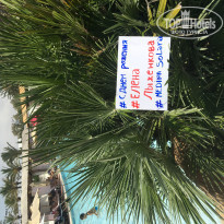 фото из отзыва ID 1848828