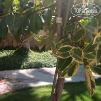 фото из отзыва ID 1849051