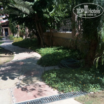 фото из отзыва ID 1849051