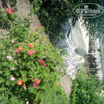 фото из отзыва ID 1849051