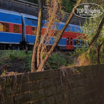 фото из отзыва ID 1847101