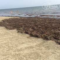 фото из отзыва ID 1849069