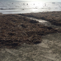 фото из отзыва ID 1849069