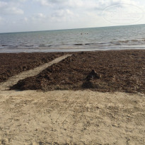 фото из отзыва ID 1849069