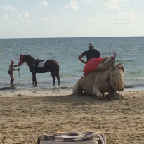 фото из отзыва ID 1849069