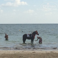 фото из отзыва ID 1849069