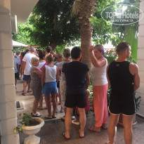 фото из отзыва ID 1847950