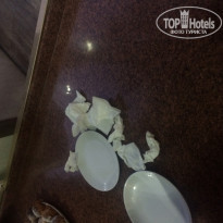 фото из отзыва ID 1846117