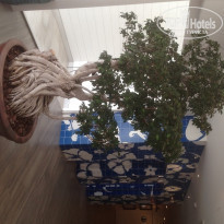 фото из отзыва ID 1849248