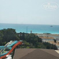 фото из отзыва ID 1849254